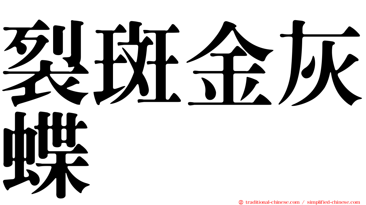 裂斑金灰蝶