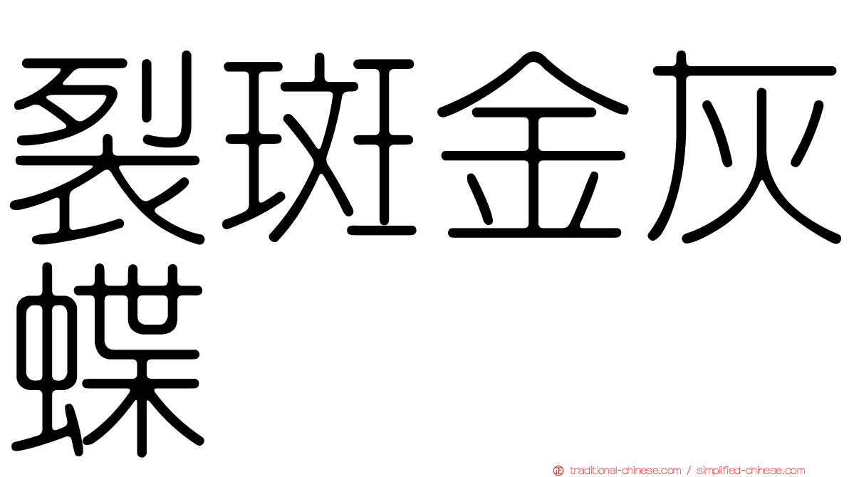 裂斑金灰蝶