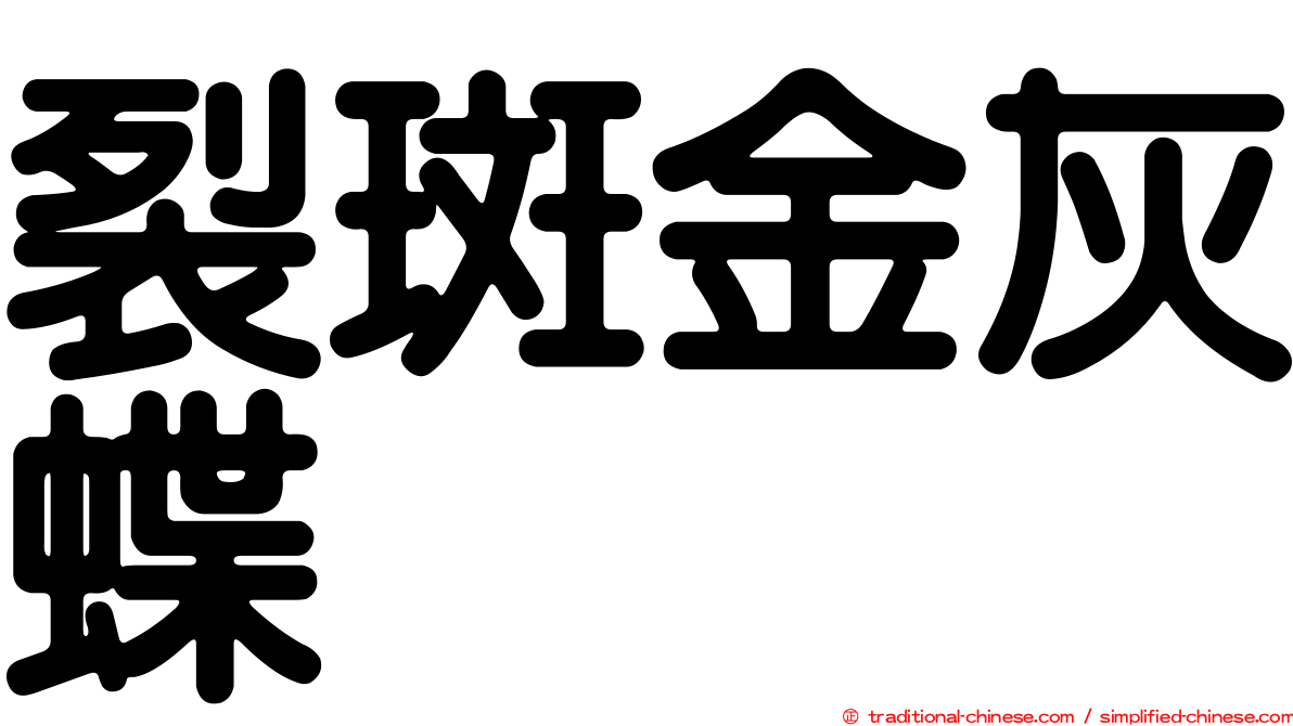 裂斑金灰蝶