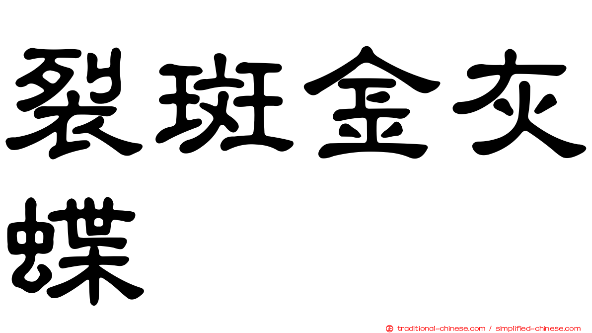 裂斑金灰蝶