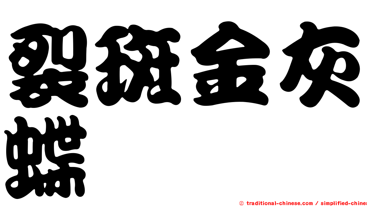 裂斑金灰蝶