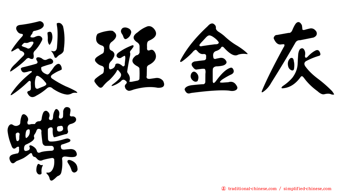 裂斑金灰蝶