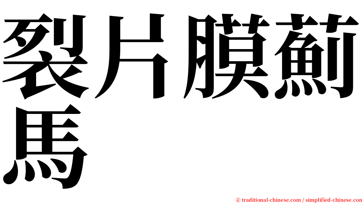 裂片膜薊馬 serif font