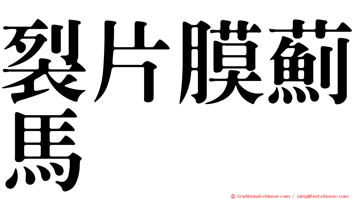 裂片膜薊馬