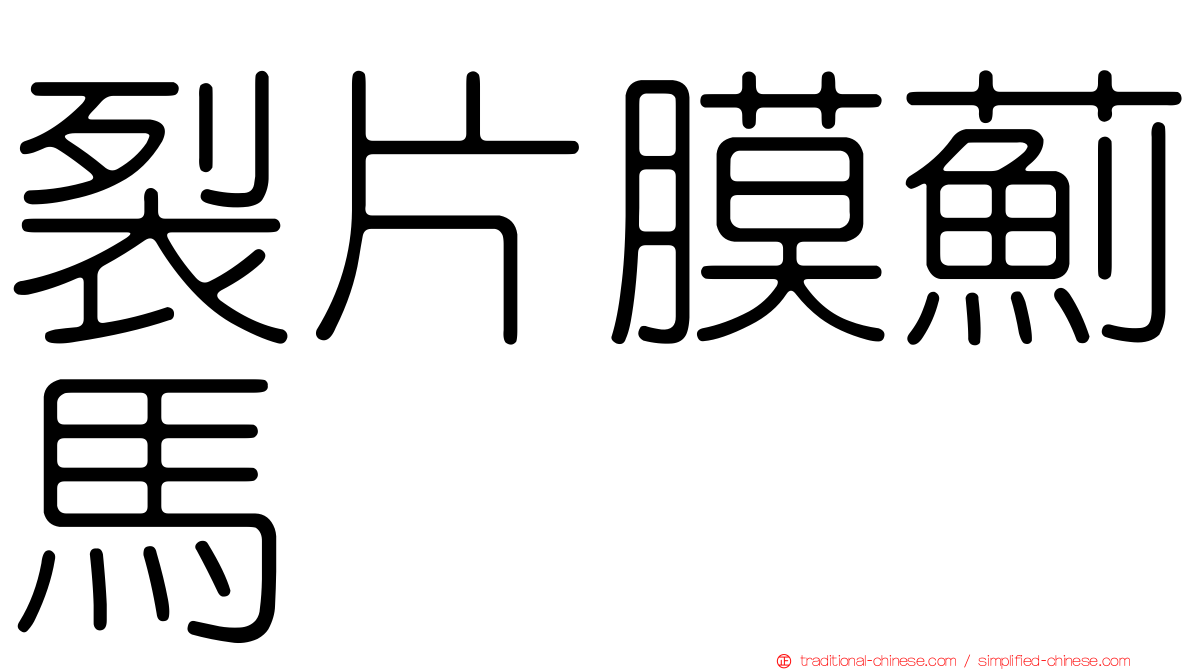 裂片膜薊馬