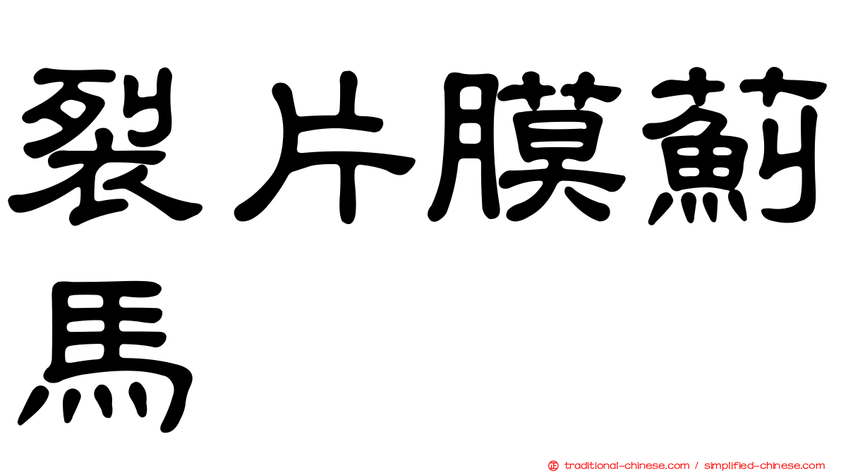 裂片膜薊馬