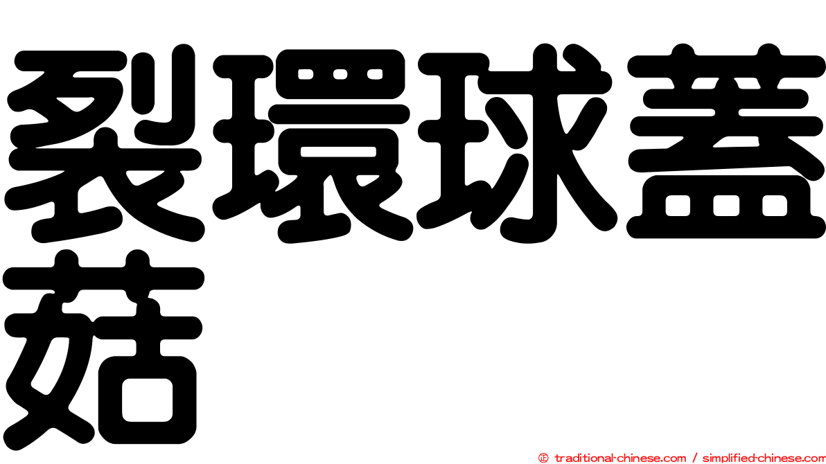 裂環球蓋菇