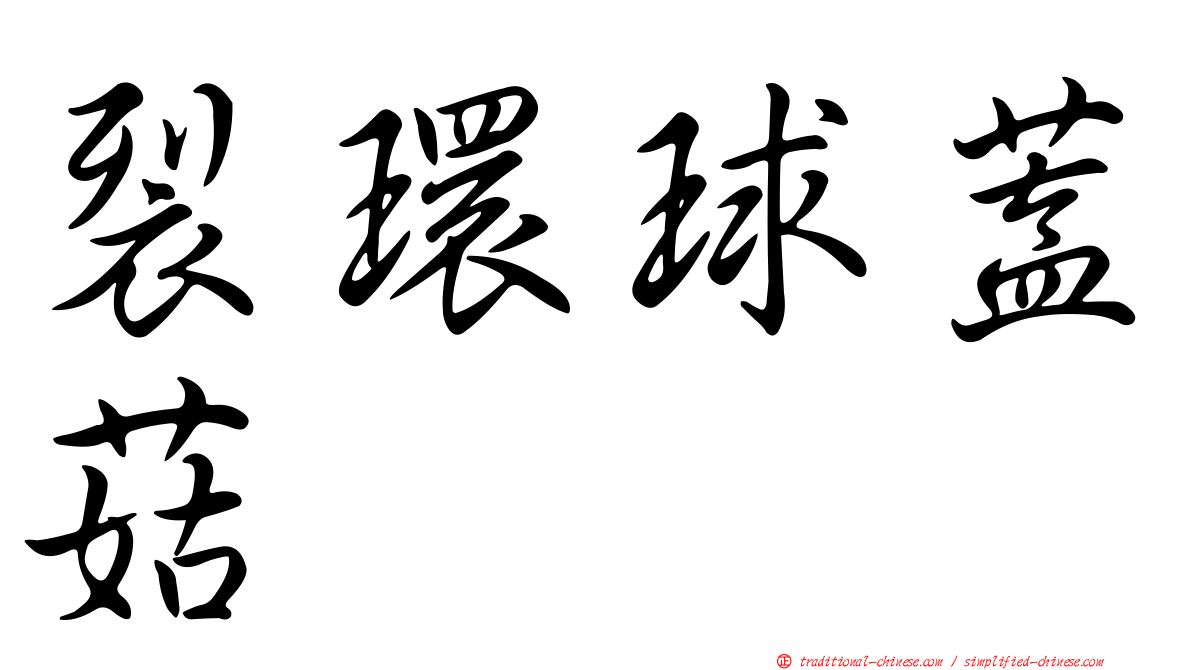 裂環球蓋菇