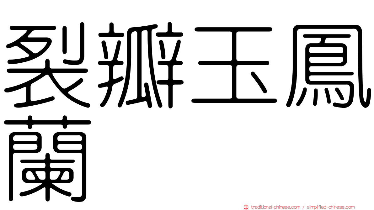 裂瓣玉鳳蘭