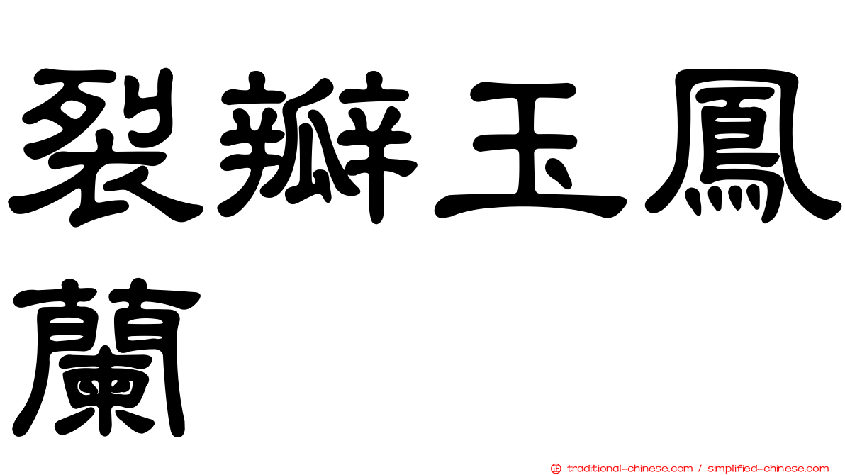 裂瓣玉鳳蘭