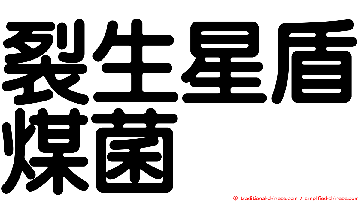 裂生星盾煤菌