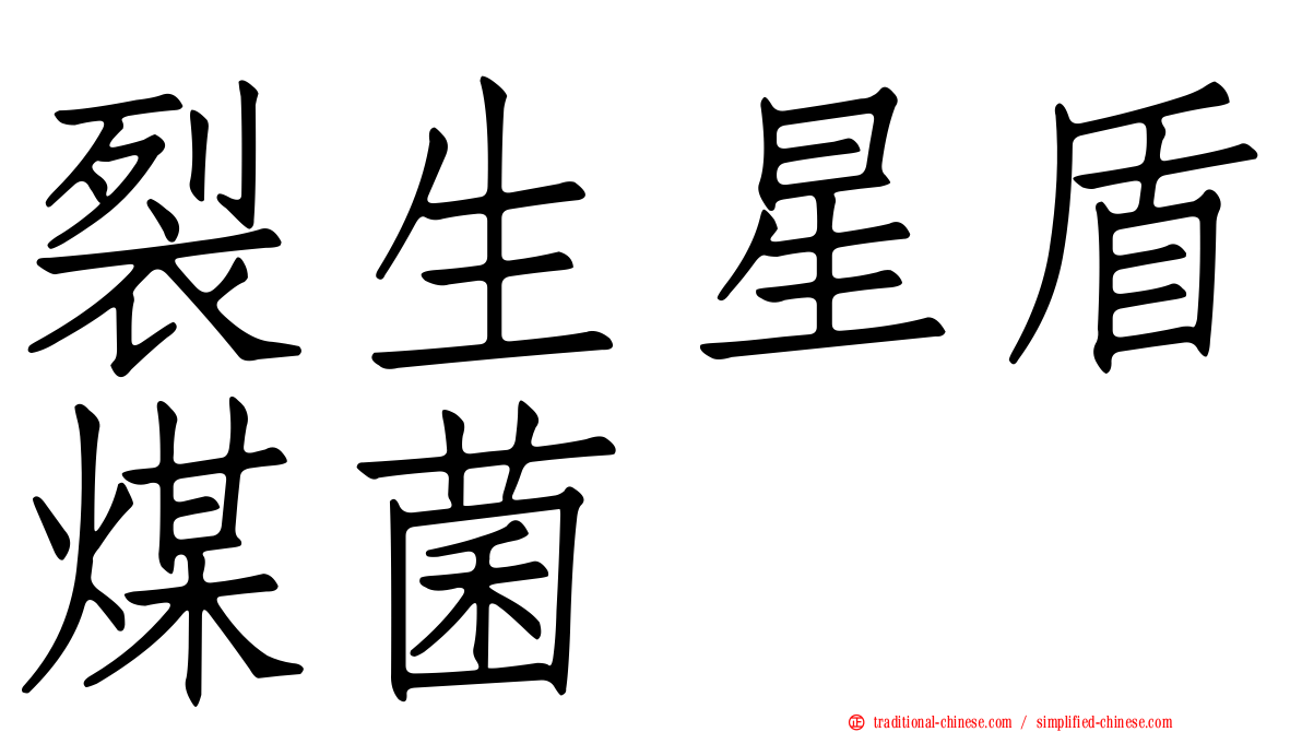 裂生星盾煤菌