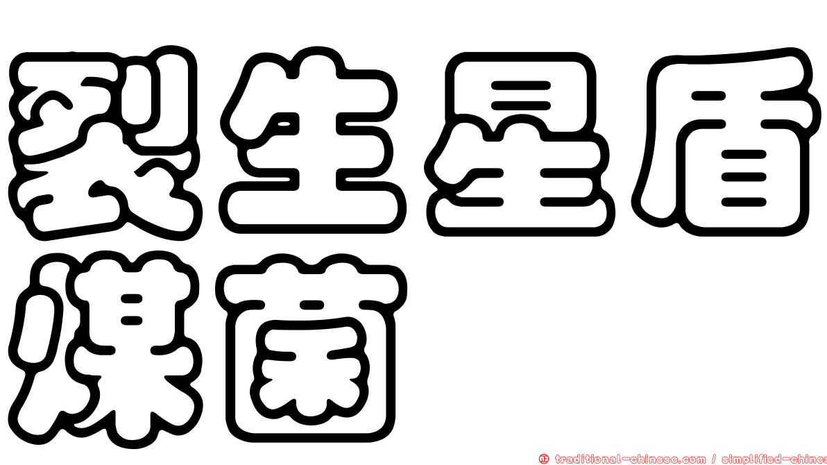 裂生星盾煤菌