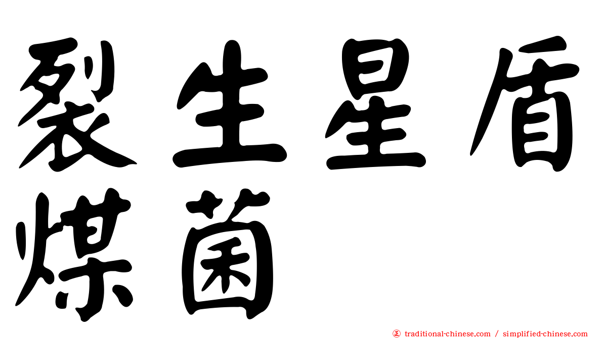 裂生星盾煤菌