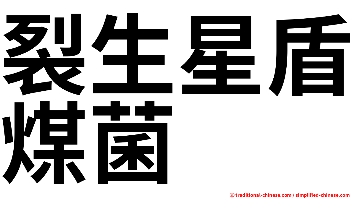 裂生星盾煤菌