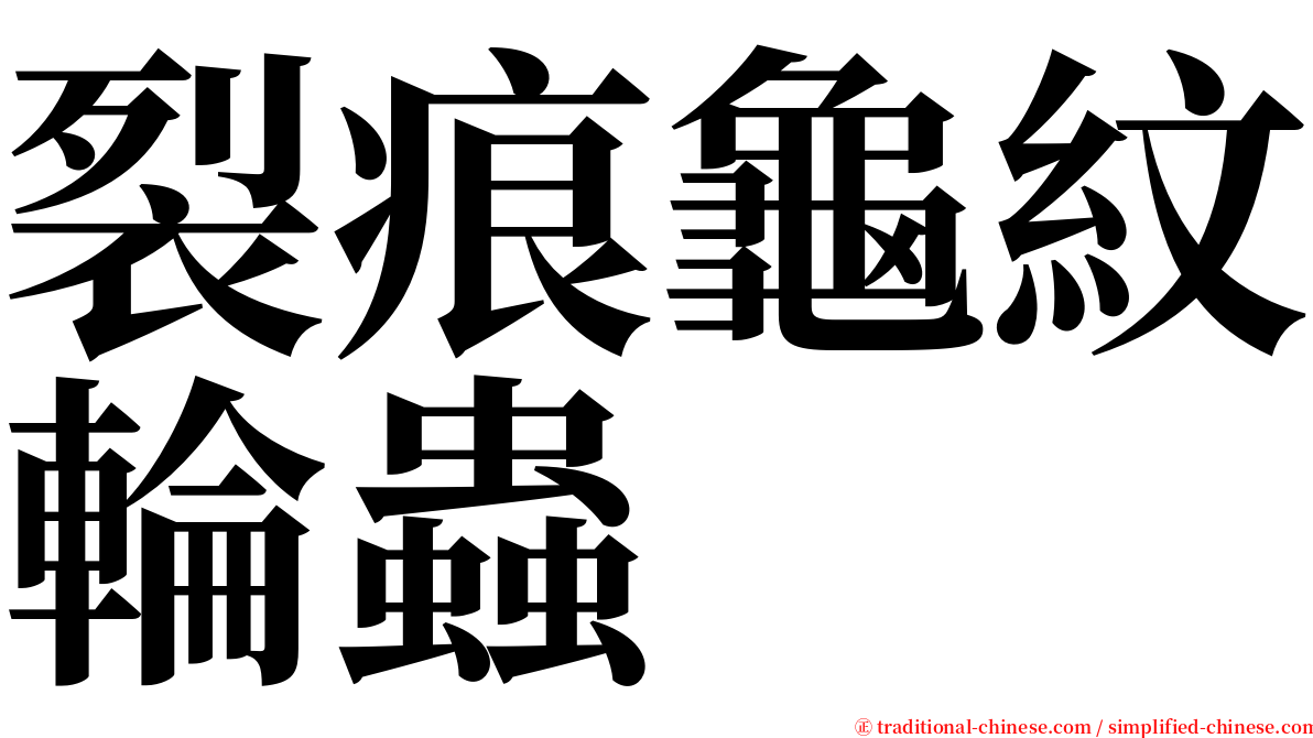 裂痕龜紋輪蟲 serif font