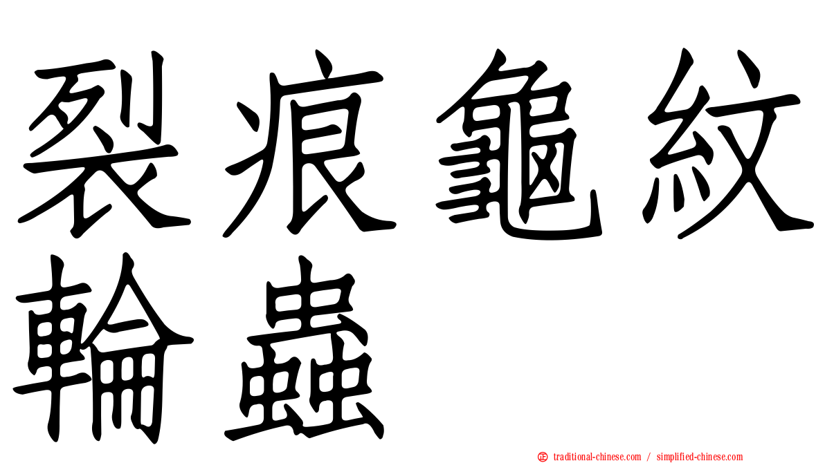 裂痕龜紋輪蟲
