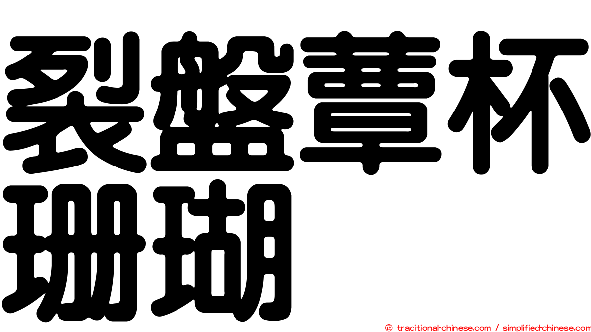 裂盤蕈杯珊瑚