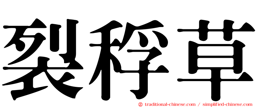 裂稃草