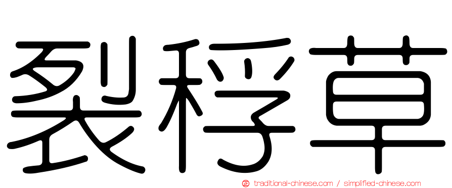 裂稃草