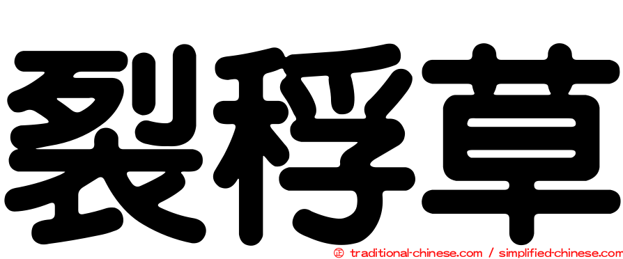 裂稃草