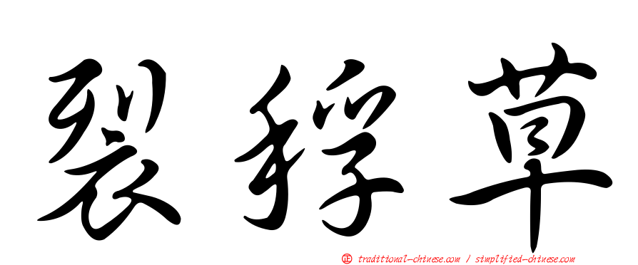 裂稃草