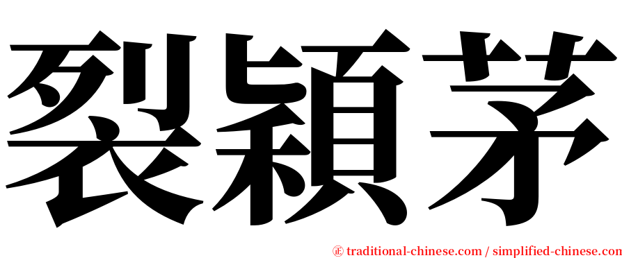 裂穎茅 serif font