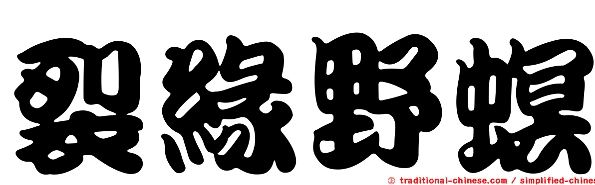 裂緣野螟