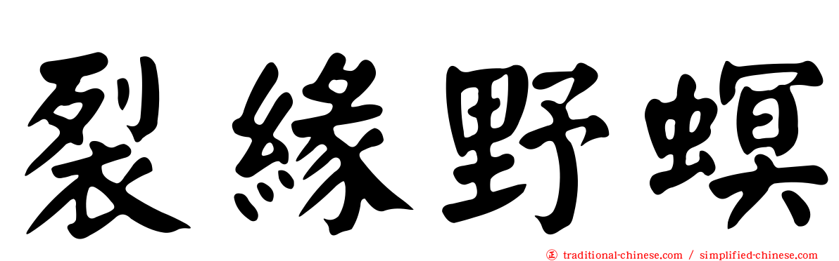 裂緣野螟