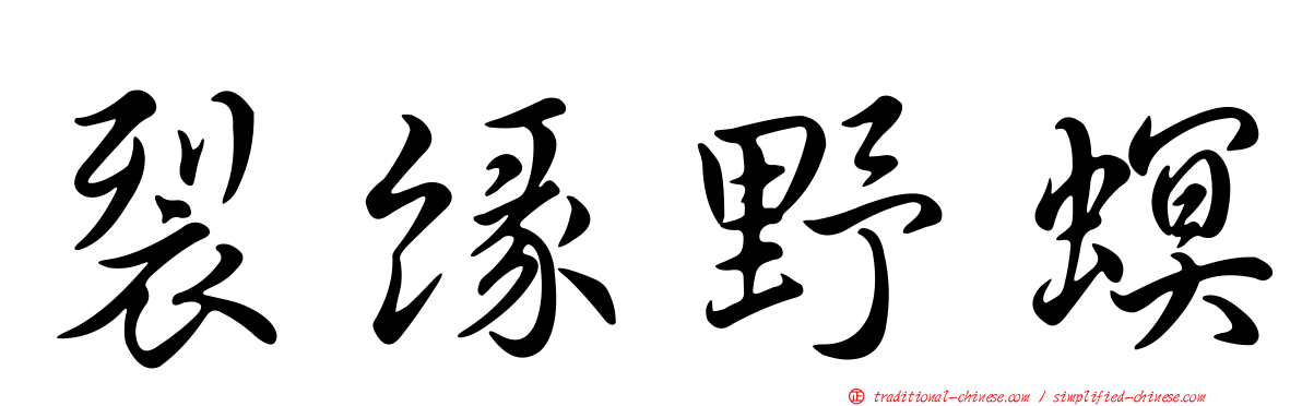裂緣野螟