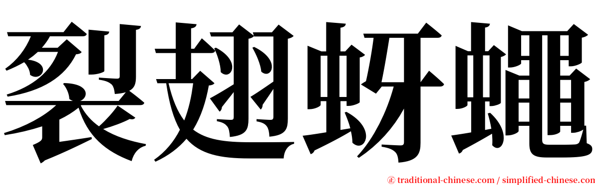 裂翅蚜蠅 serif font