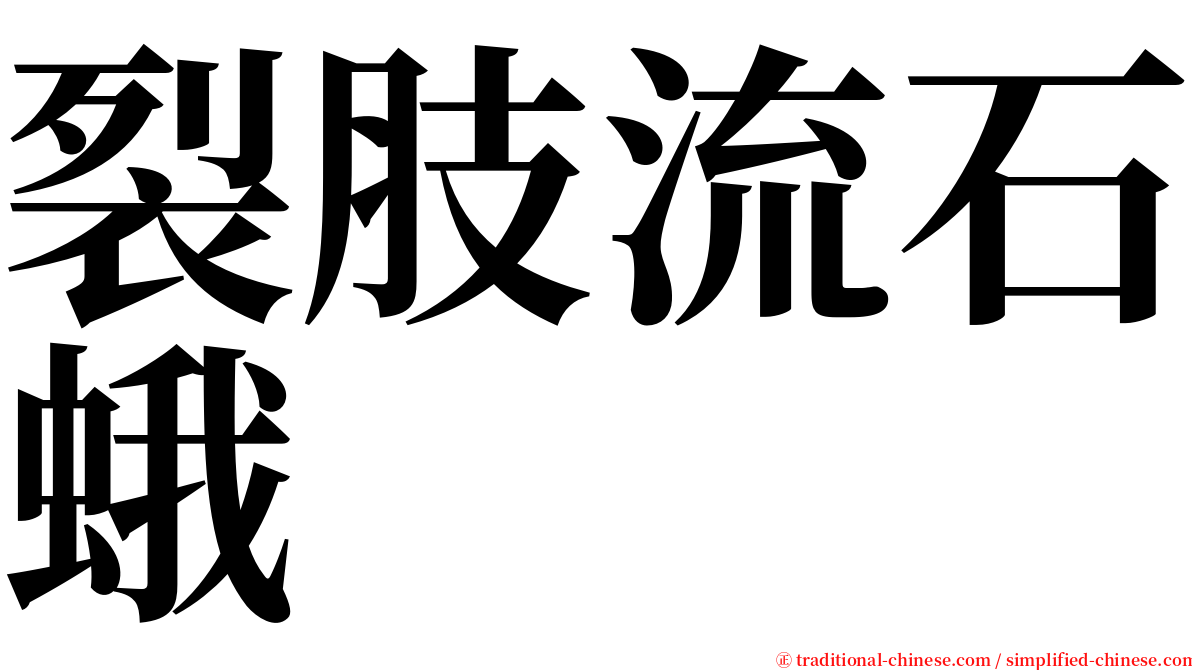 裂肢流石蛾 serif font