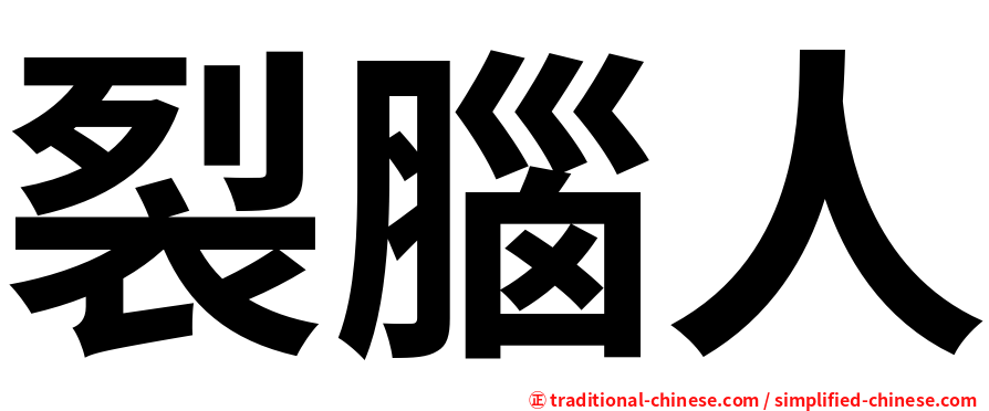 裂腦人