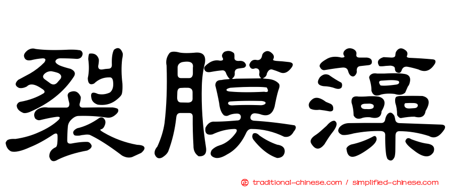裂膜藻