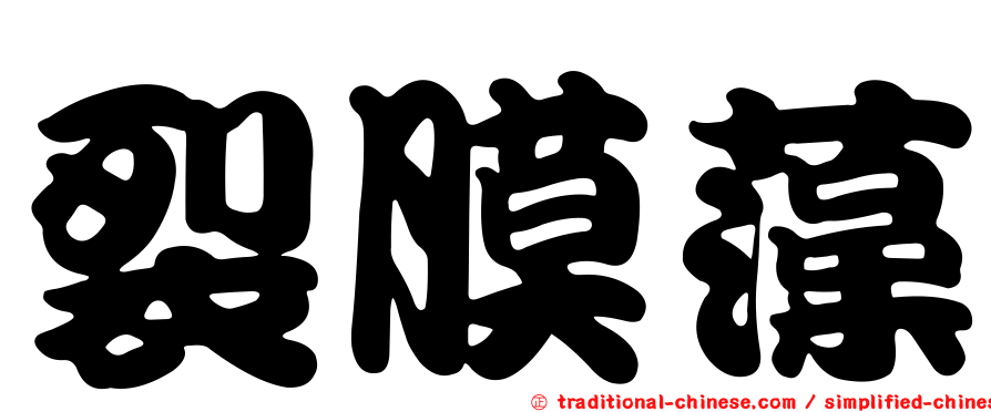 裂膜藻