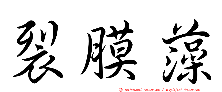 裂膜藻