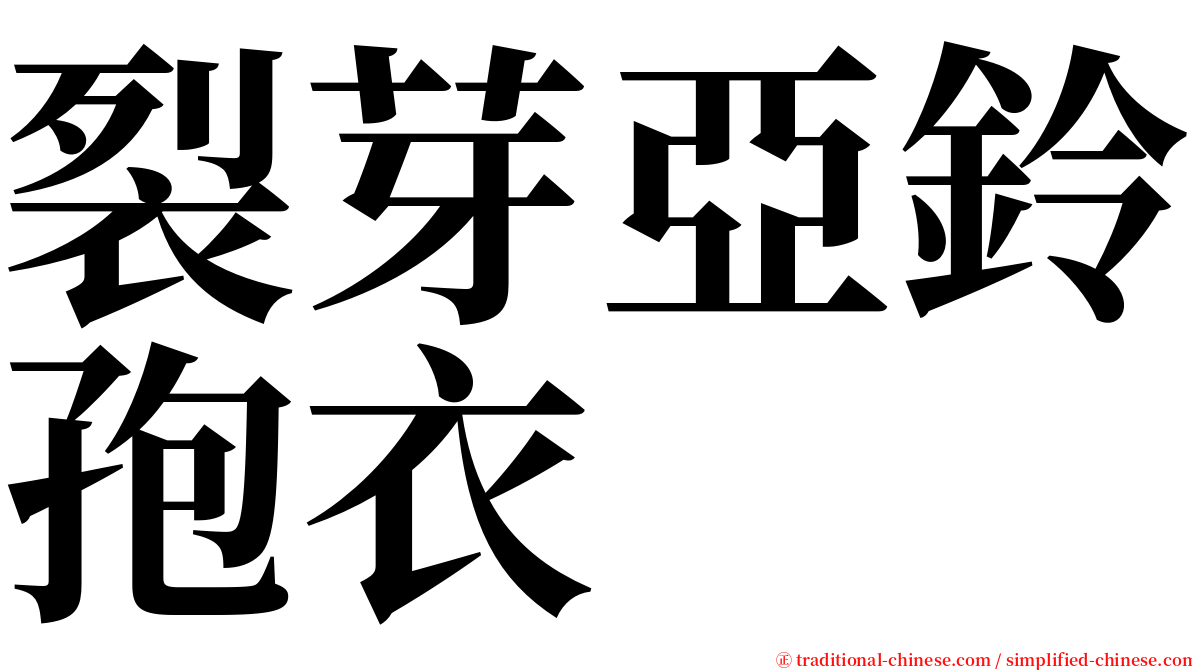 裂芽亞鈴孢衣 serif font
