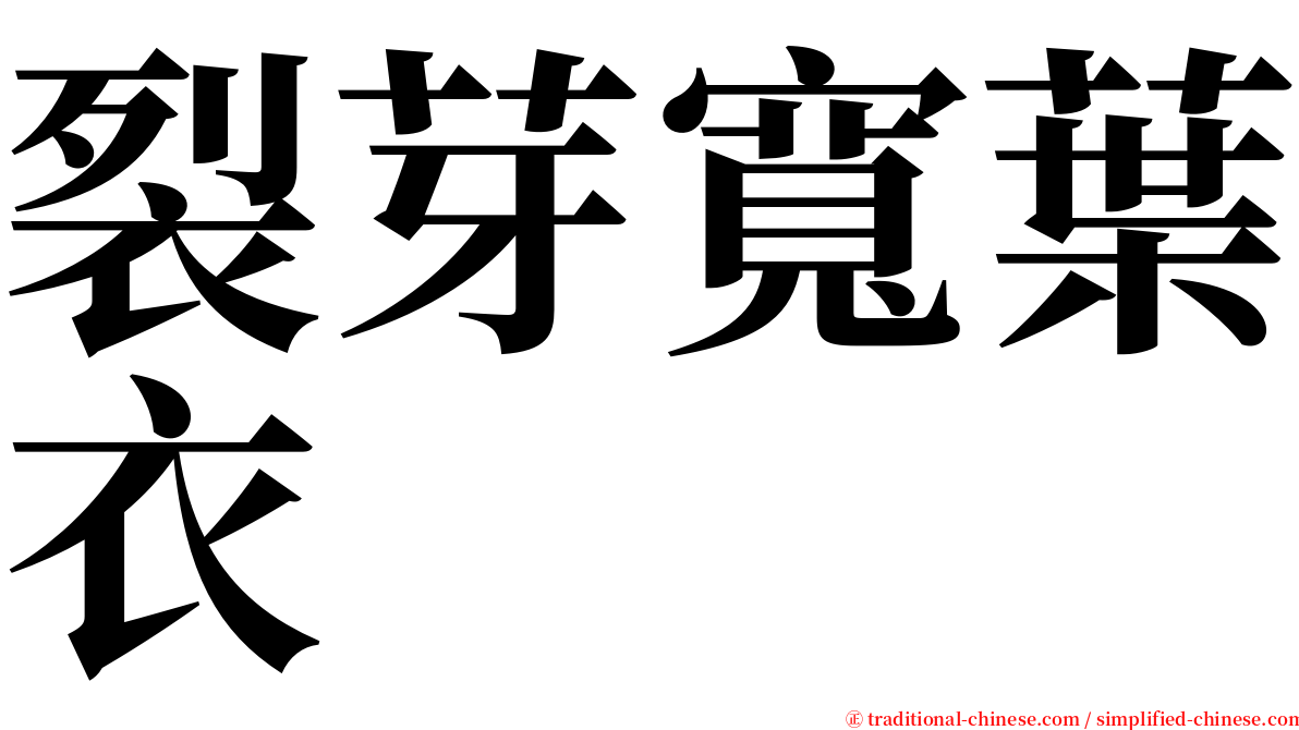 裂芽寬葉衣 serif font