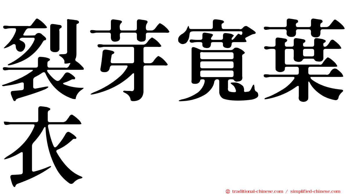 裂芽寬葉衣