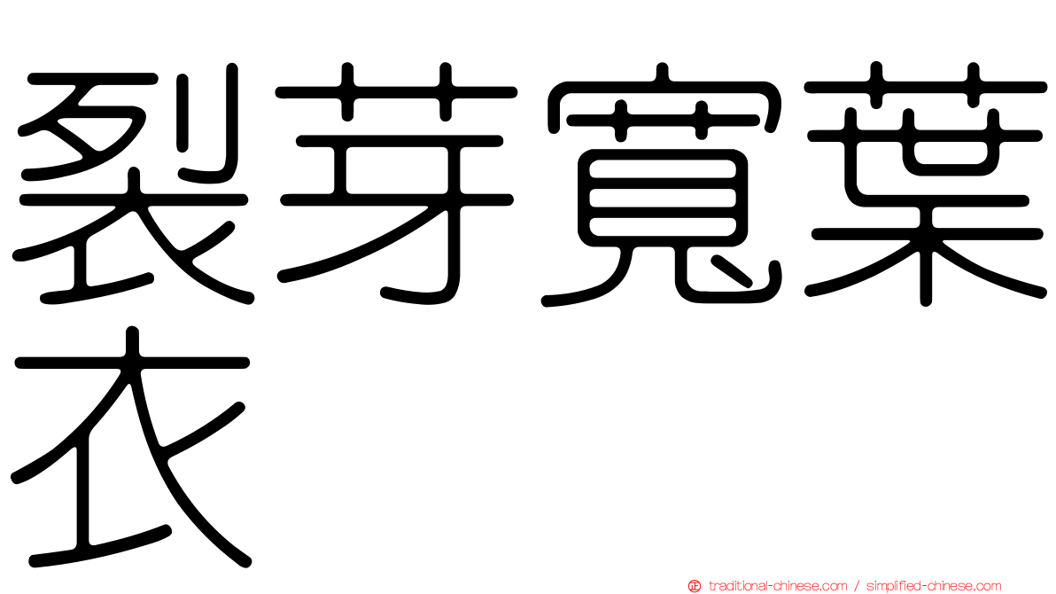 裂芽寬葉衣