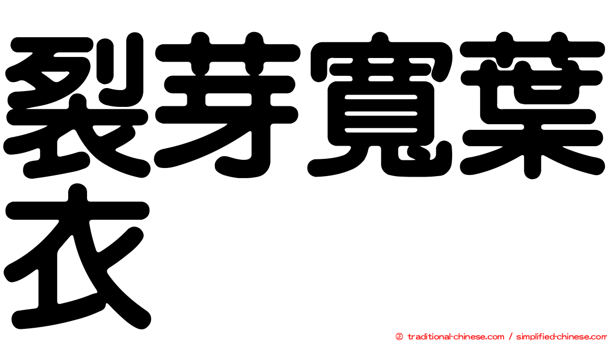 裂芽寬葉衣