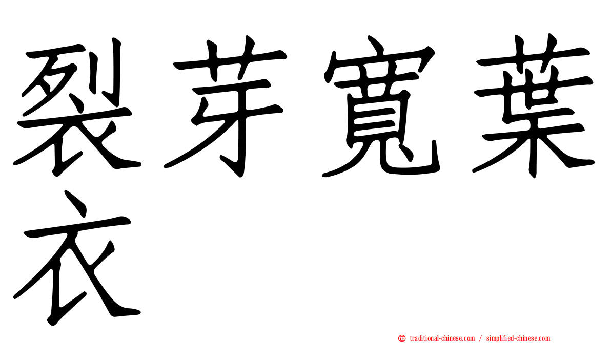 裂芽寬葉衣