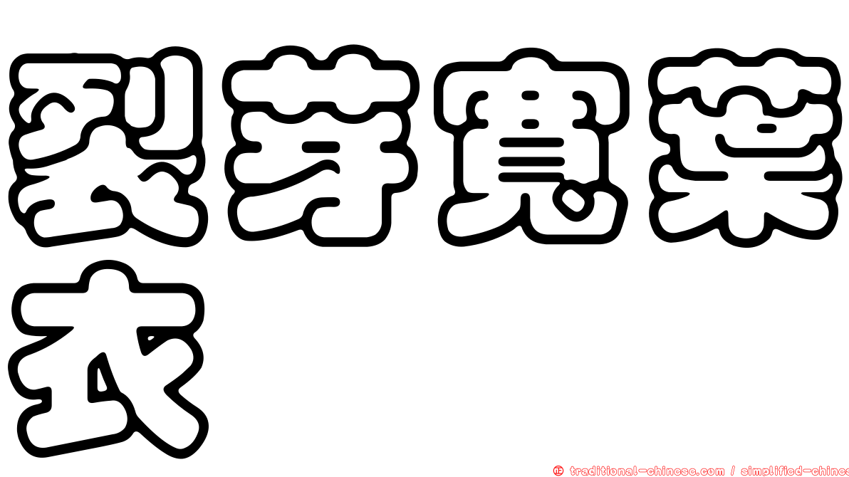 裂芽寬葉衣