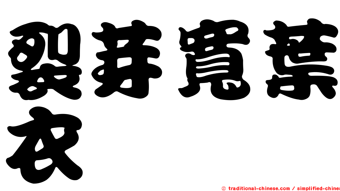 裂芽寬葉衣