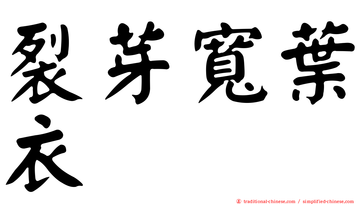 裂芽寬葉衣