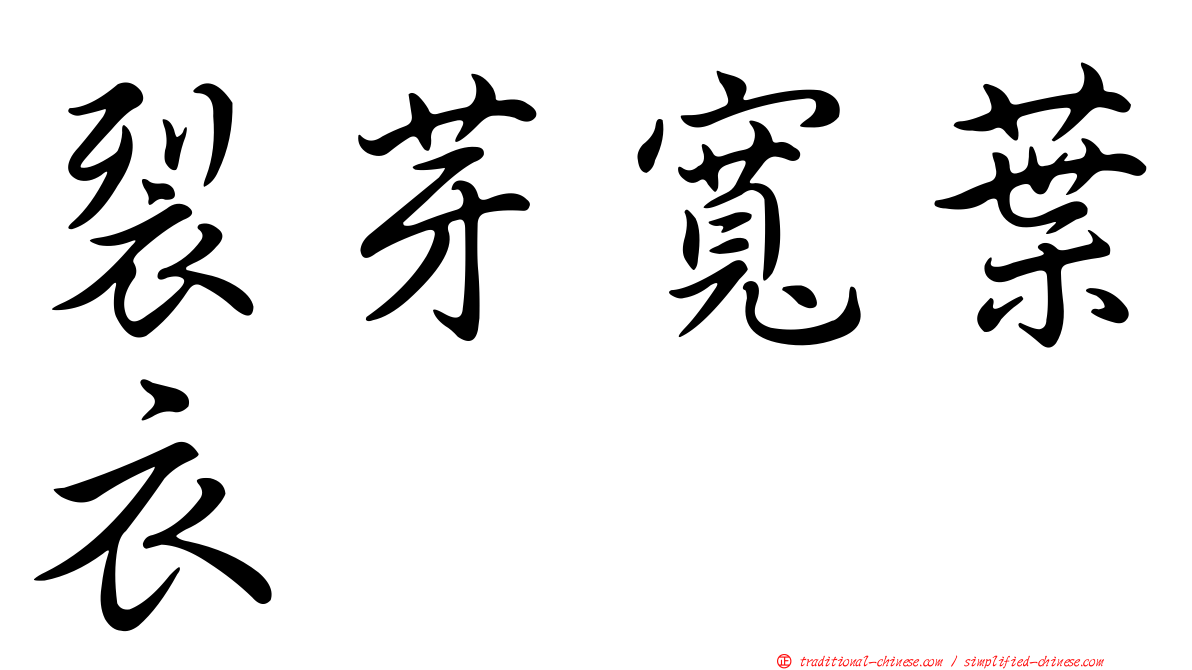裂芽寬葉衣