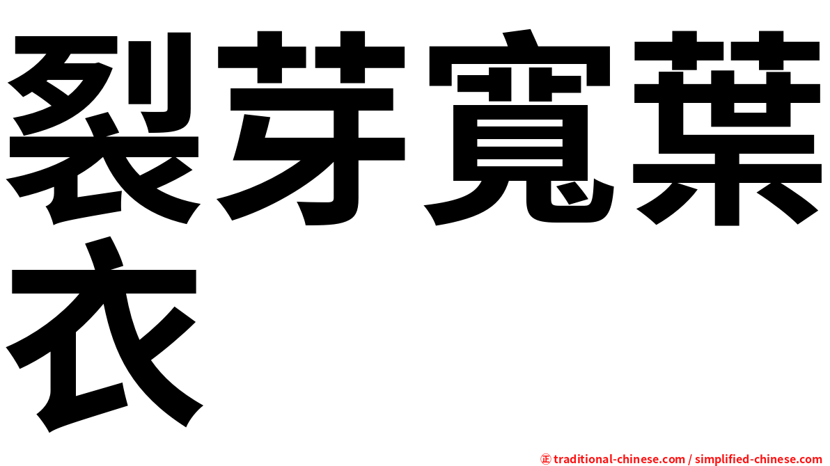 裂芽寬葉衣