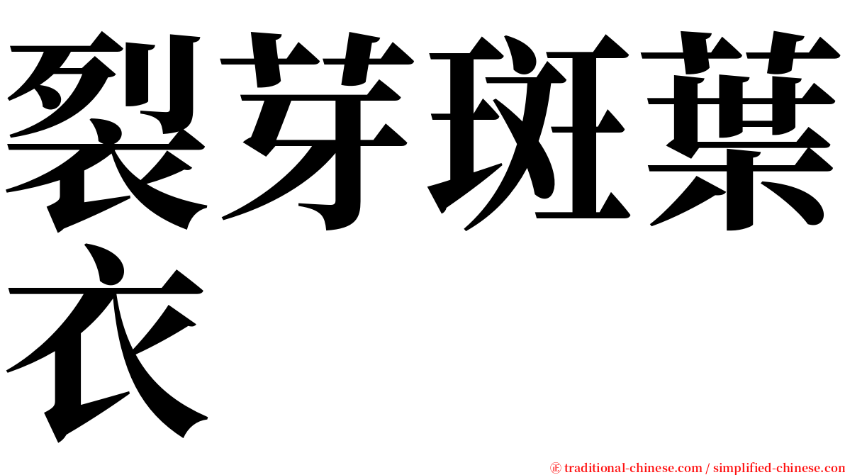 裂芽斑葉衣 serif font