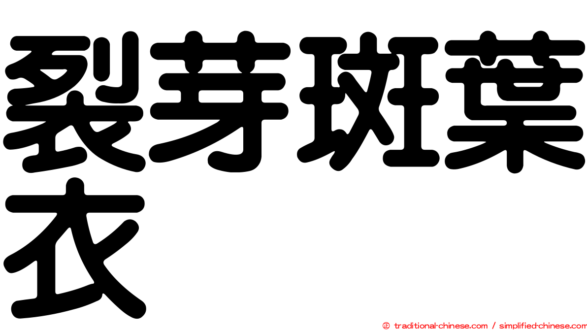 裂芽斑葉衣