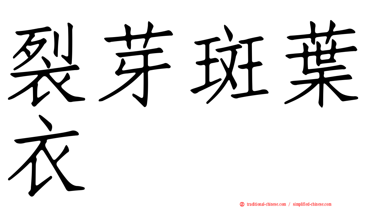 裂芽斑葉衣